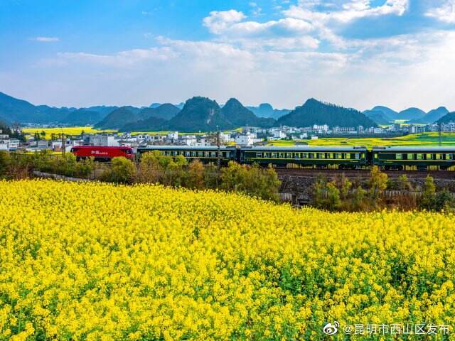 昆明市西山区发布