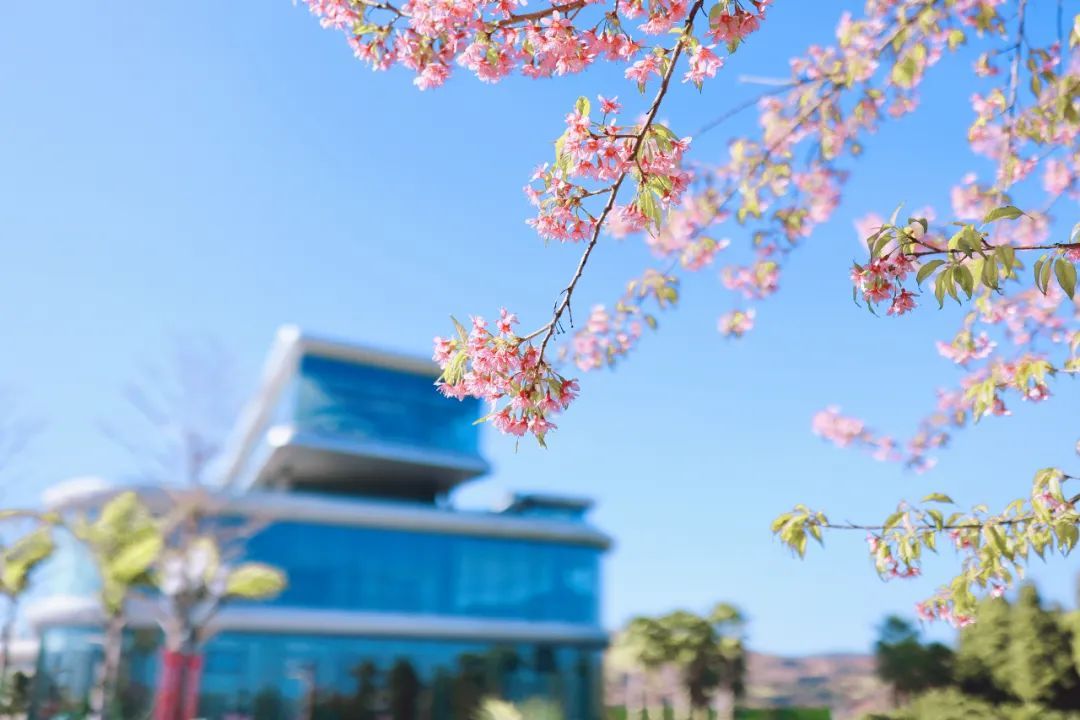 云南省文化和旅游厅