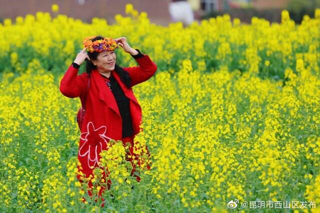 昆明市西山区发布