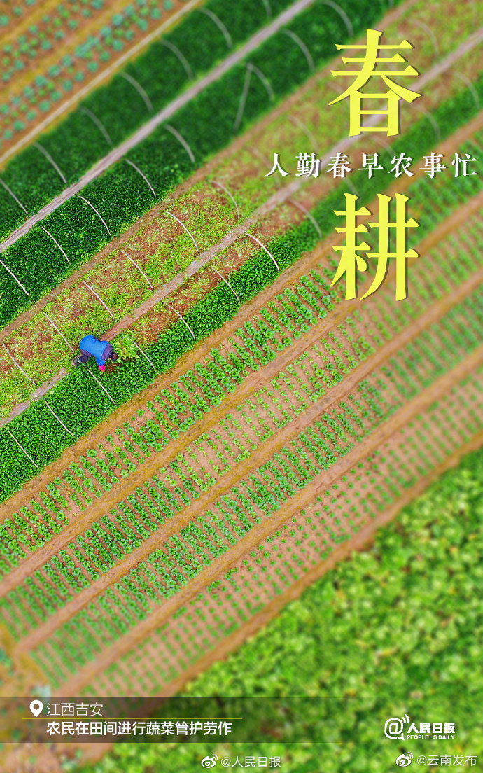 “云南发布”微博