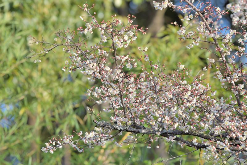 云南省文化和旅游厅