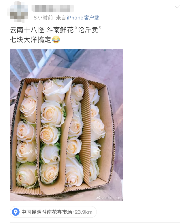 昆明信息港/cnkmxxg