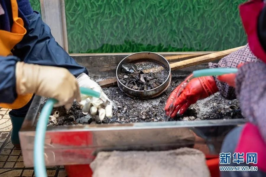 美丽云南微科普