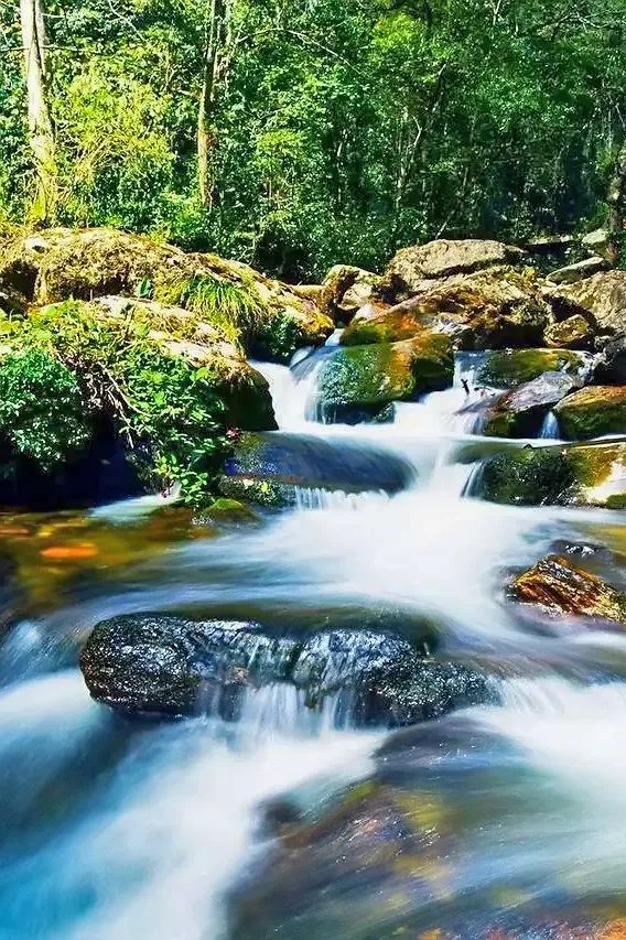 一部手机游云南