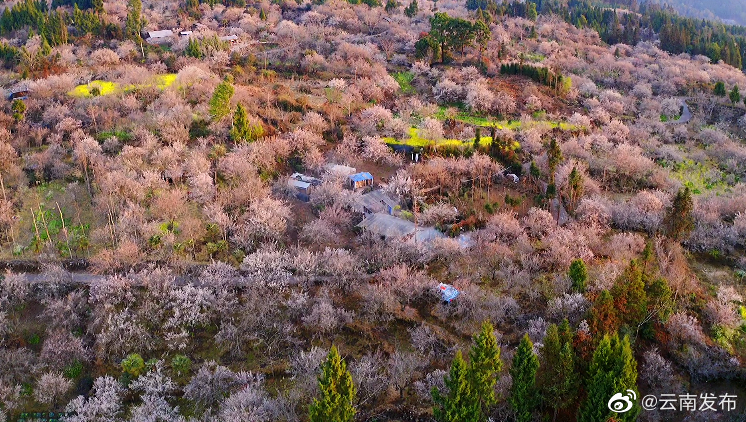 “云南发布”微博