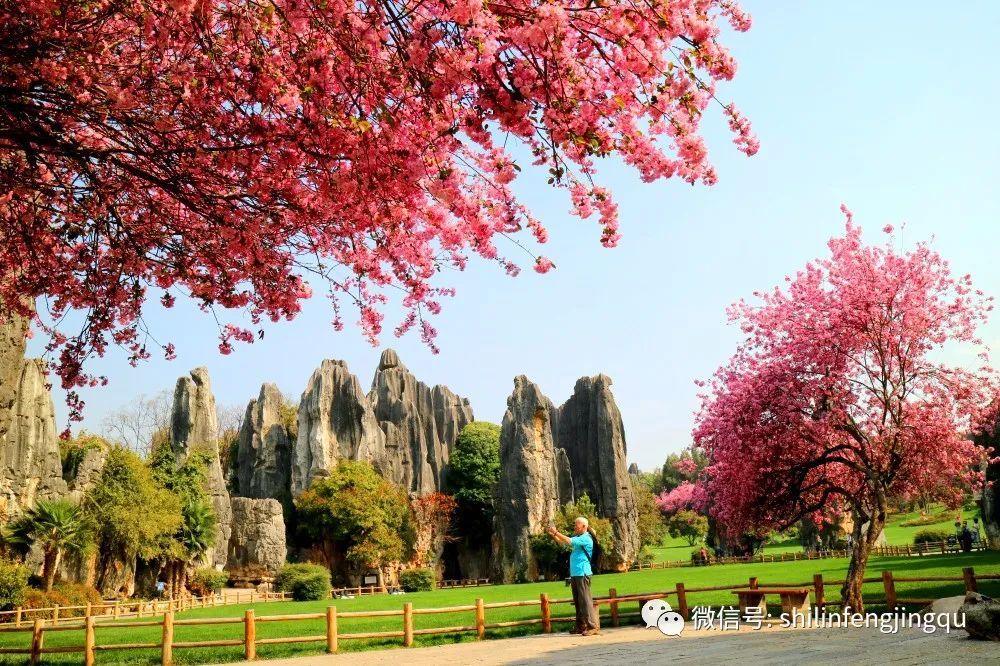 云南省文化和旅游厅