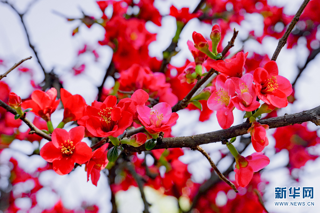 云南省文化和旅游厅