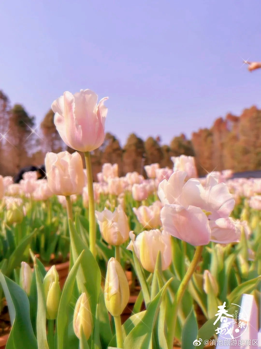 滇池旅游度假区