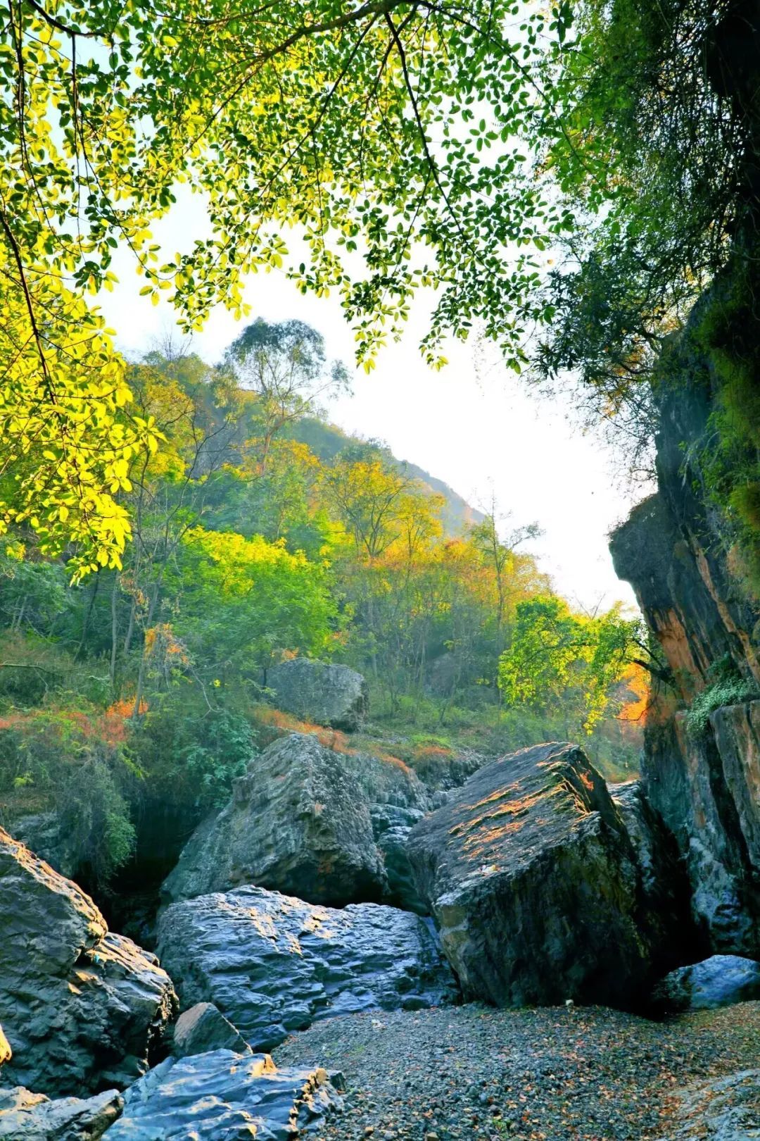 云南省文化和旅游厅