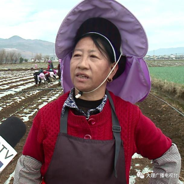 大理电视台