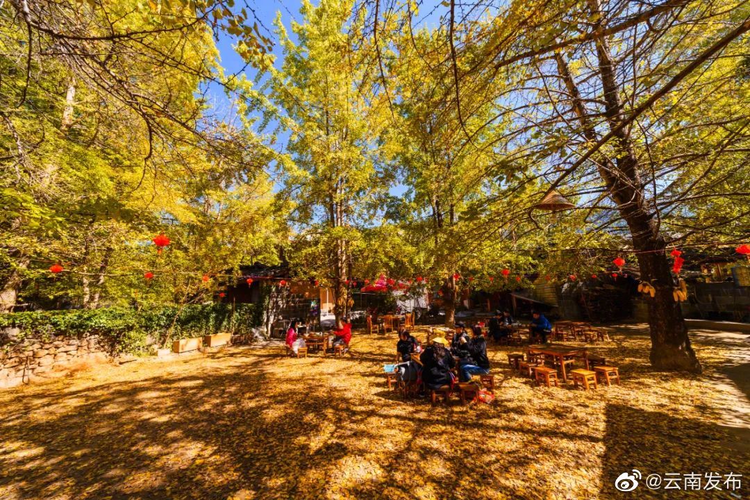 “云南发布”微博