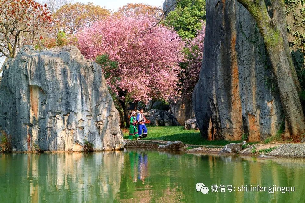 云南省文化和旅游厅