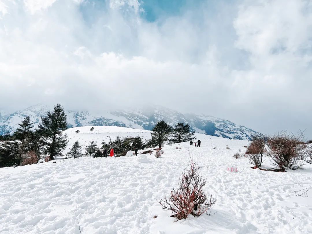云南省文化和旅游厅