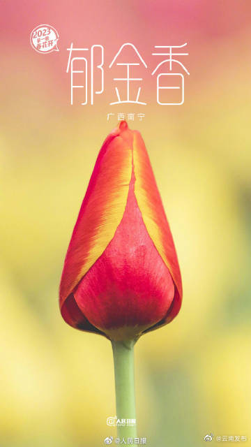 “云南发布”微博