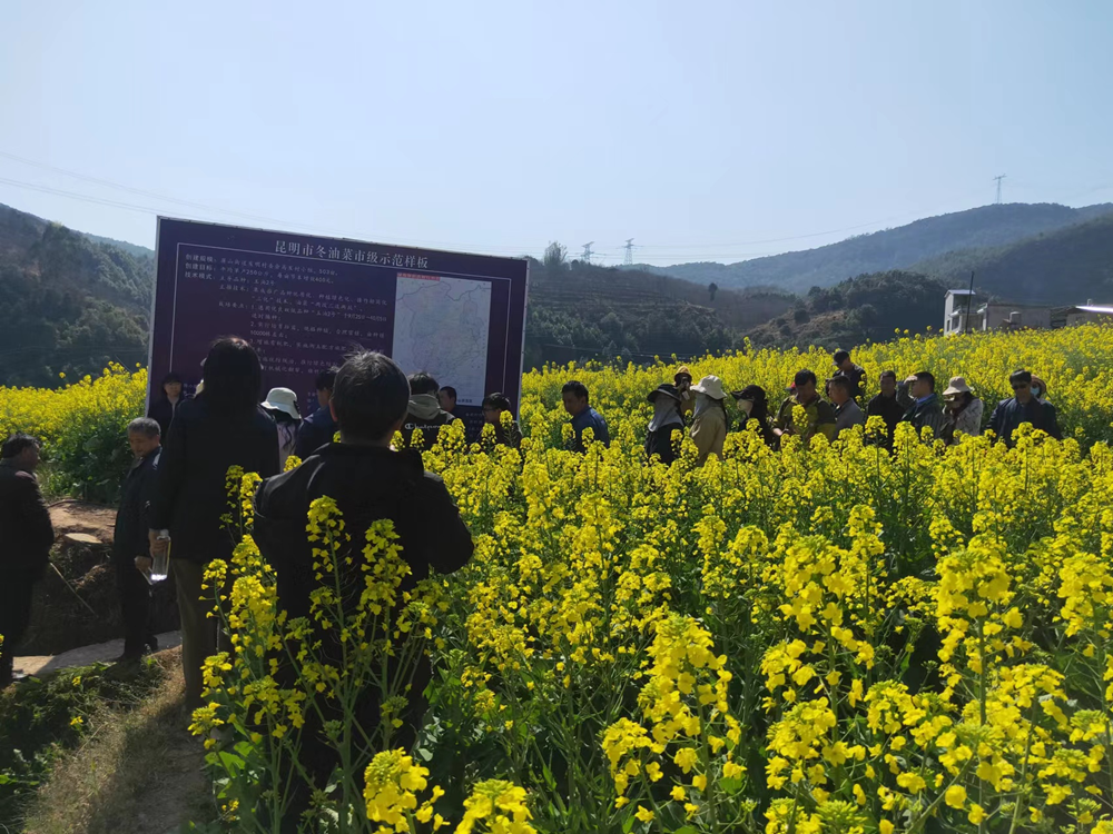 昆明市农业农村局