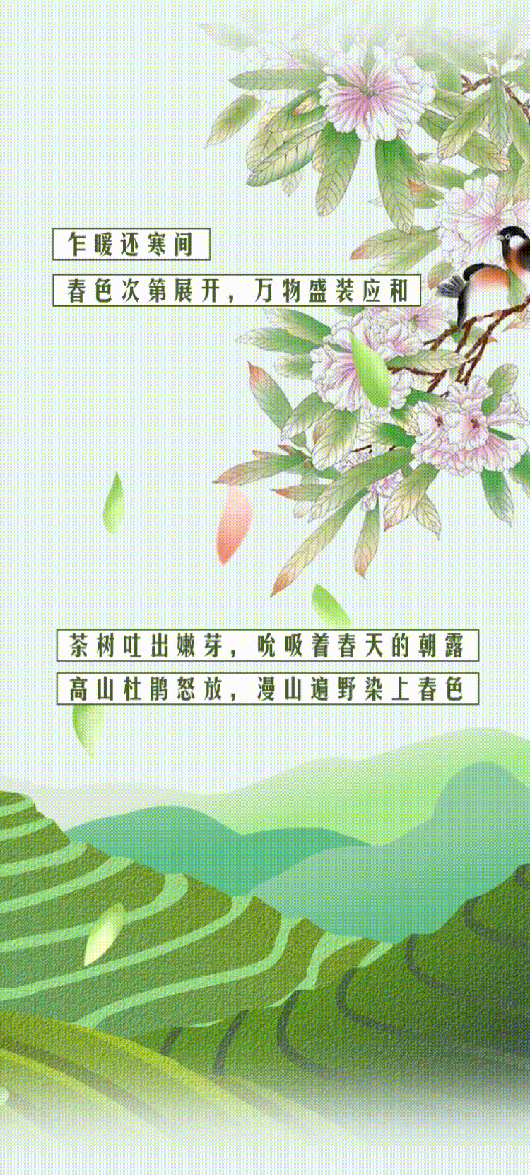 云南省人民政府网