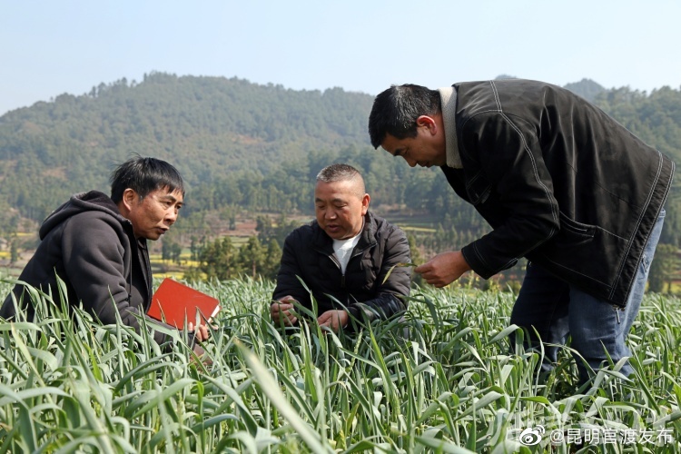 “昆明官渡发布”微博