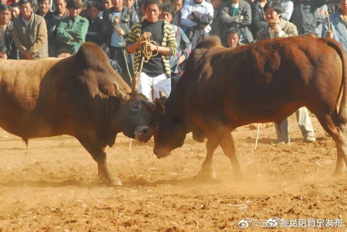 昆明晋宁发布