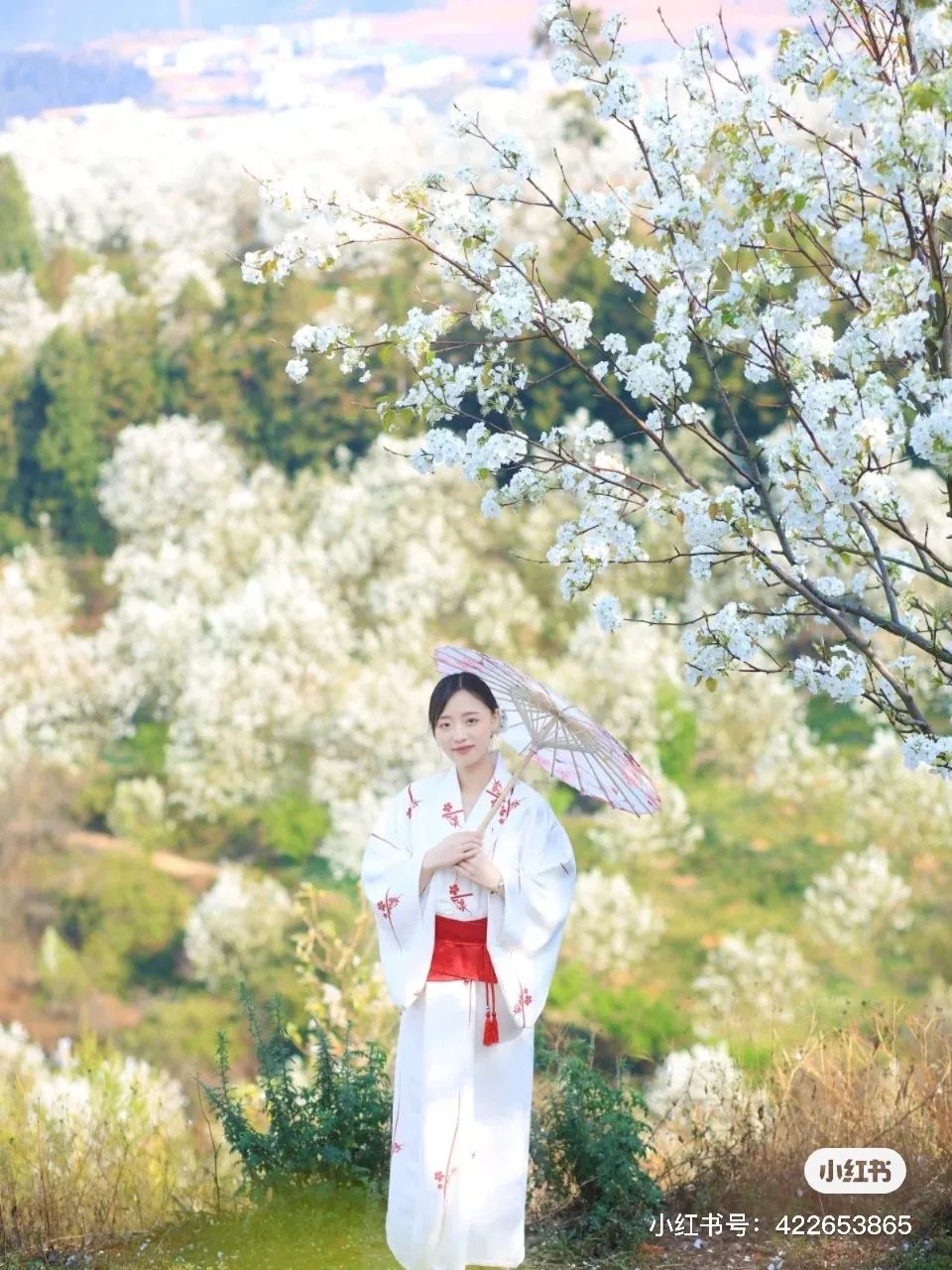 一部手机游云南