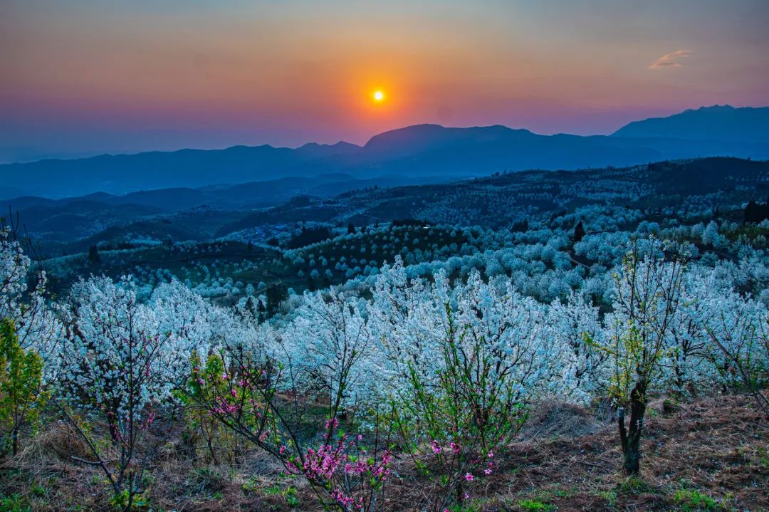 一部手机游云南