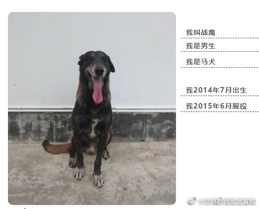 昆明市西山区发布