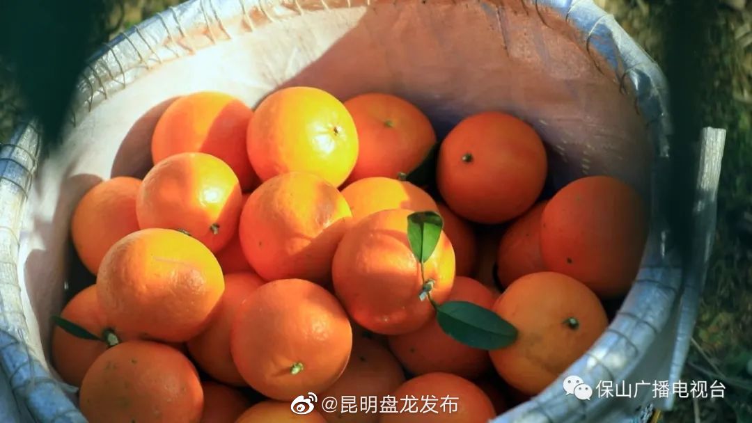 昆明盘龙发布