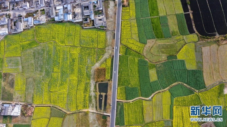 云南省文化和旅游厅