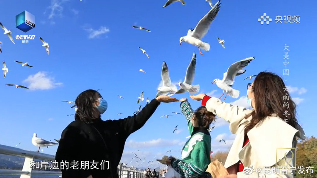 昆明晋宁发布