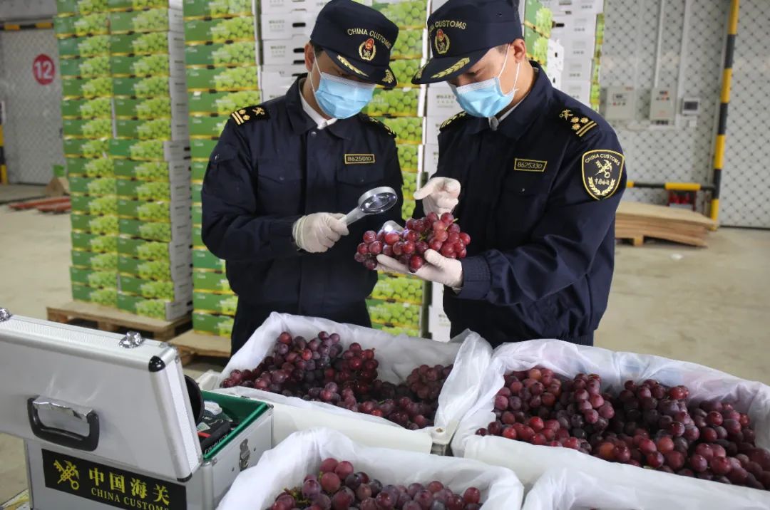 大理电视台