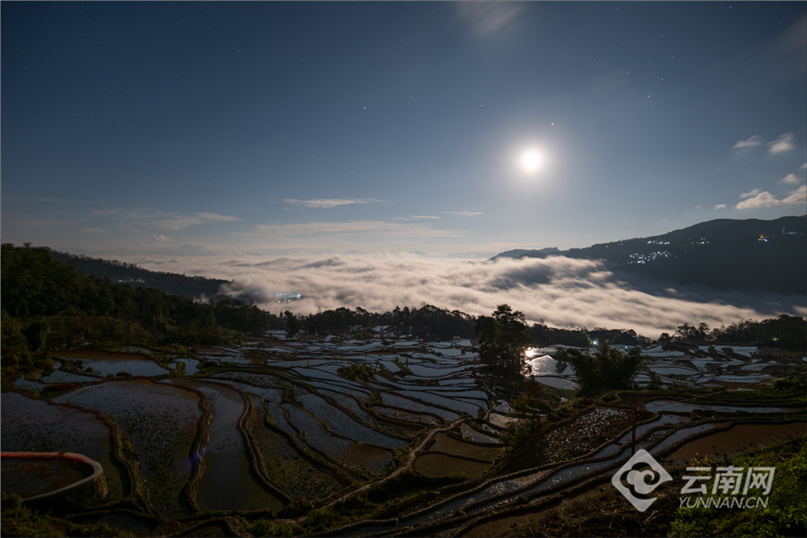 云南省文化和旅游厅