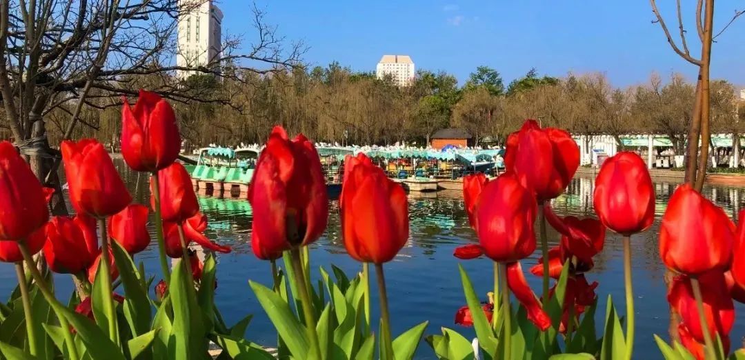 昆明文旅