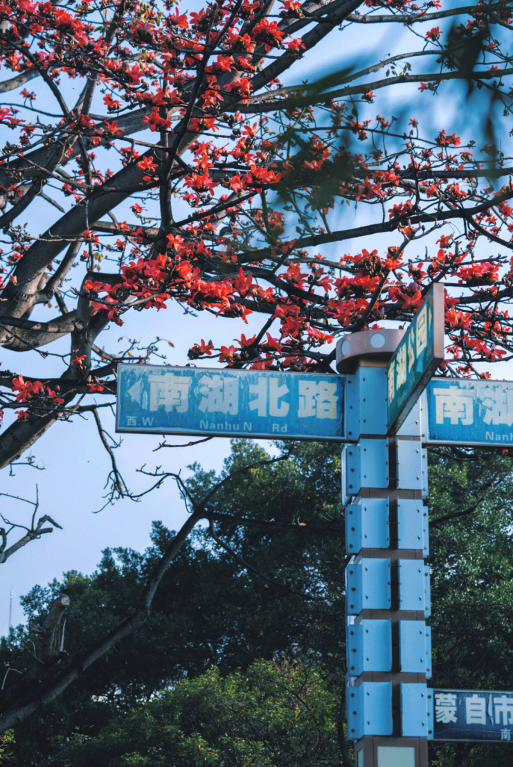 红河日报