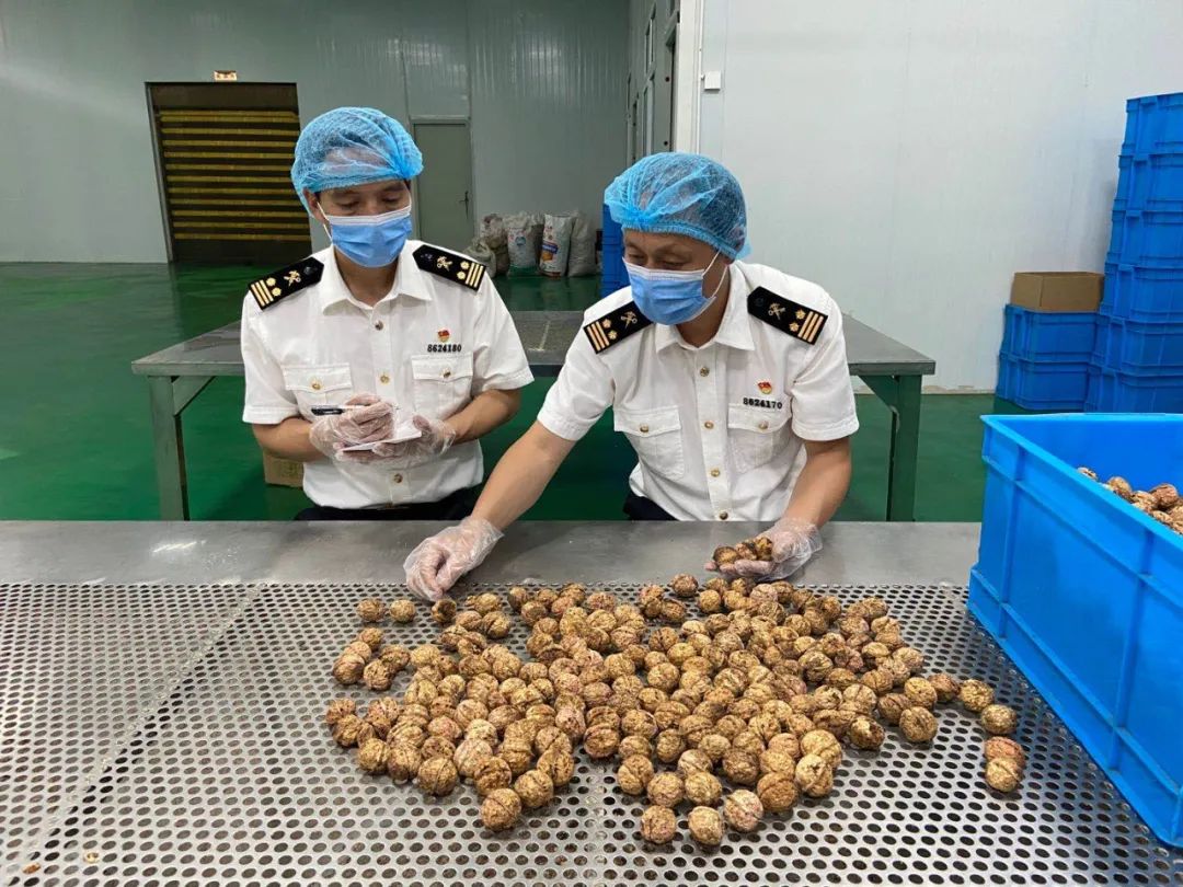 大理电视台