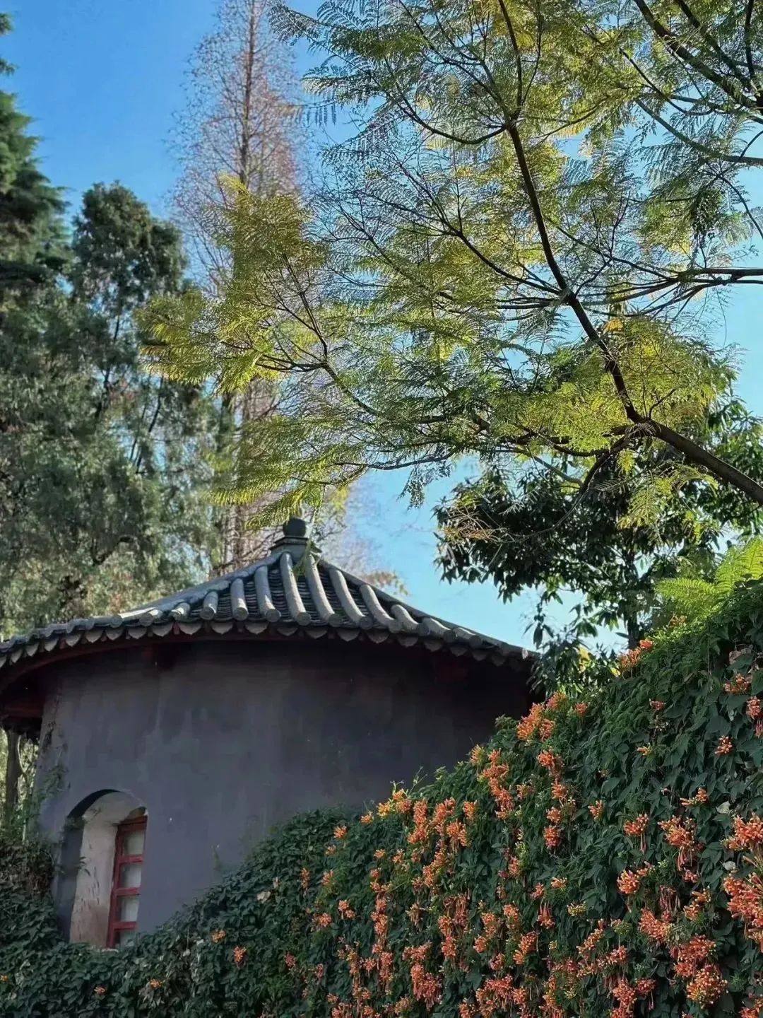 昆明文旅