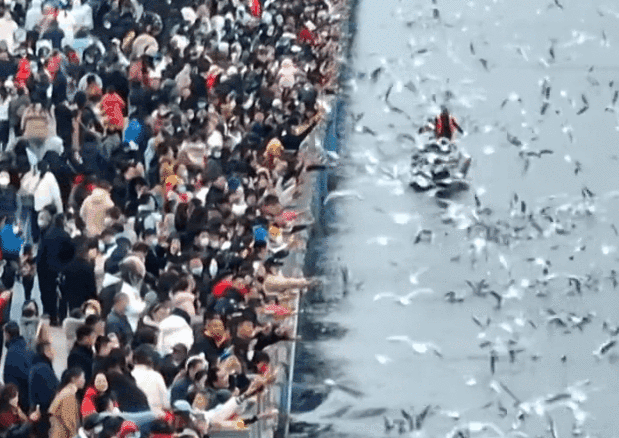 一部手机游云南