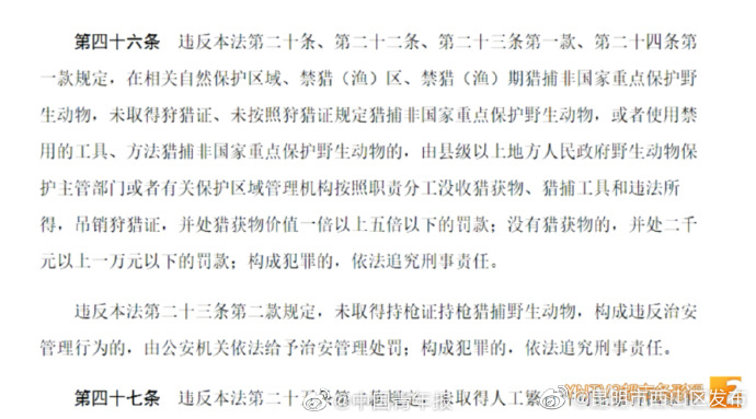 男孩昆明抓海鸥欲强塞进瓶子带走，监护人被相关部门罚两千元