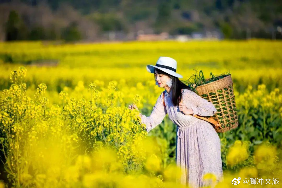 腾冲文旅微博