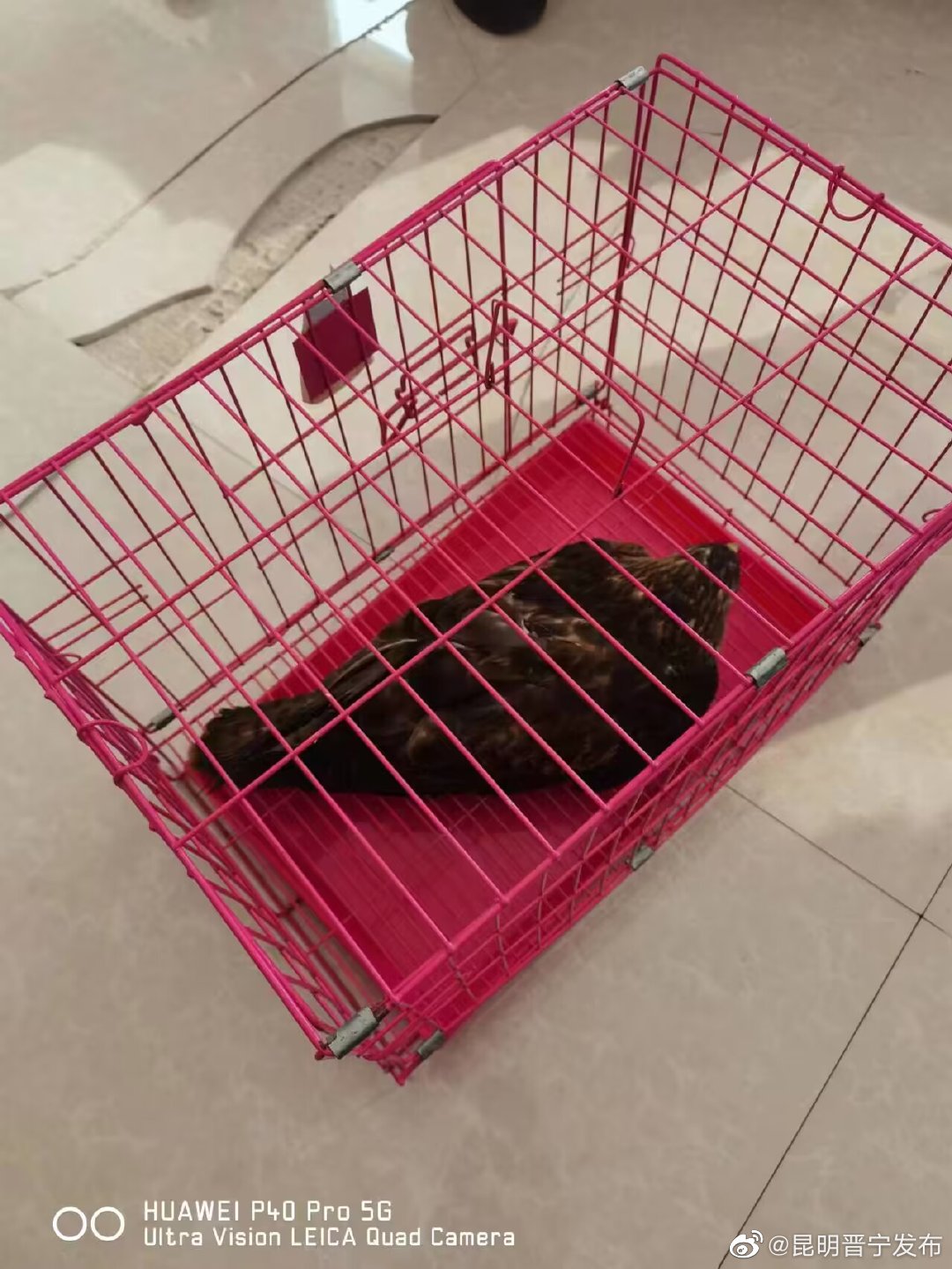 昆明晋宁发布