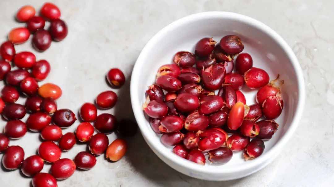 一部手机游云南