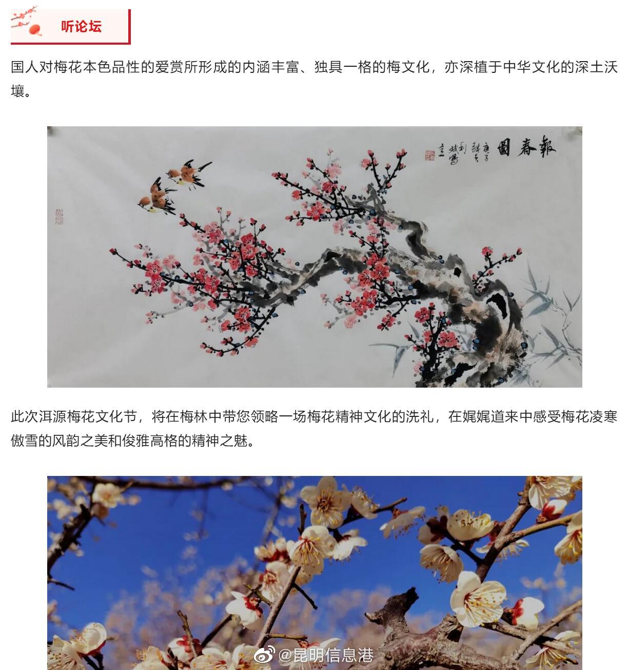 昆明信息港（微博）