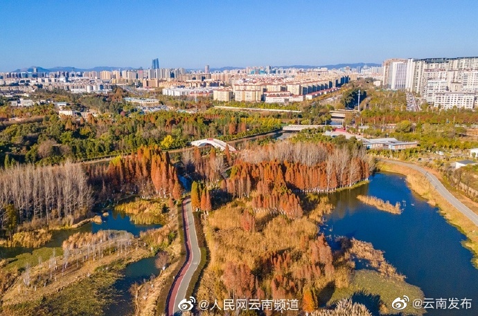 “云南发布”微博