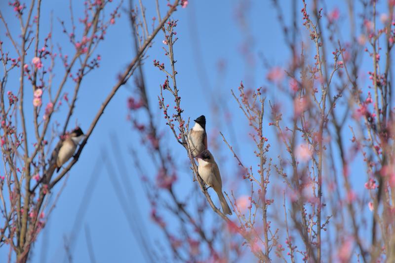云南省文化和旅游厅
