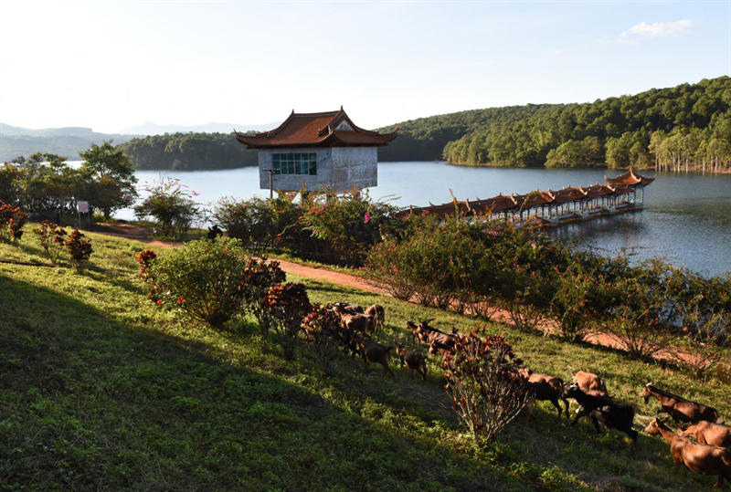 云南省文化和旅游厅