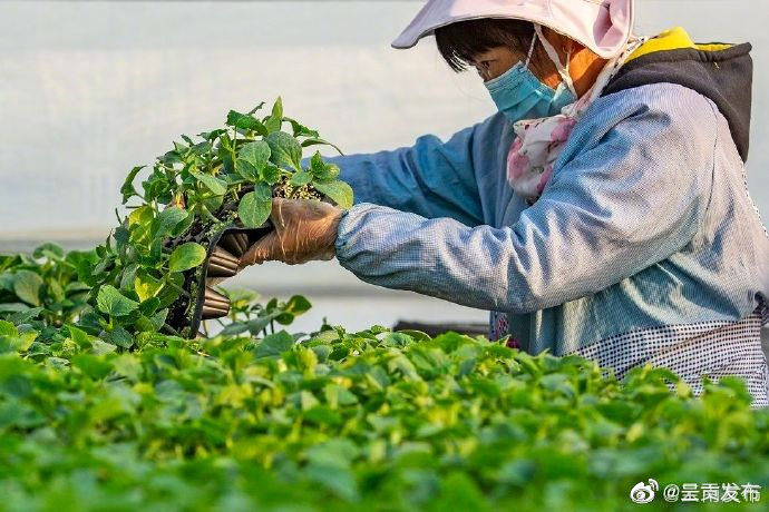 呈贡发布