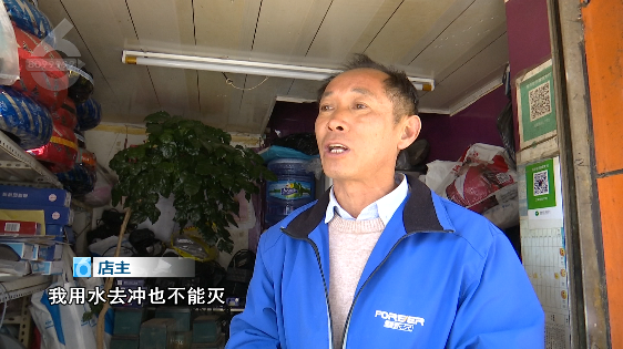 掌上春城