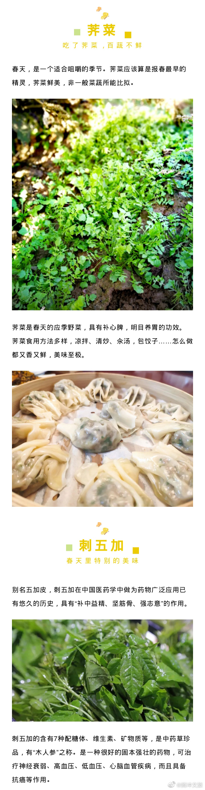 腾冲文旅微博
