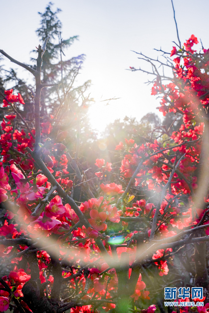 云南省文化和旅游厅