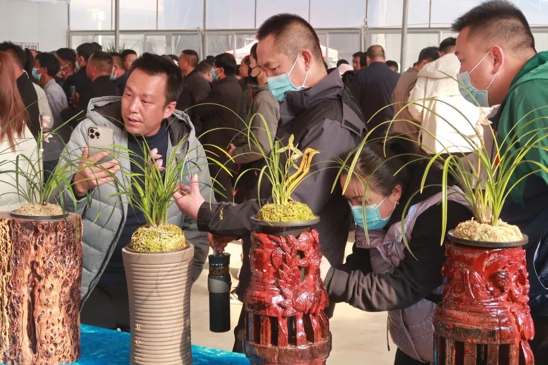 保山新闻网
