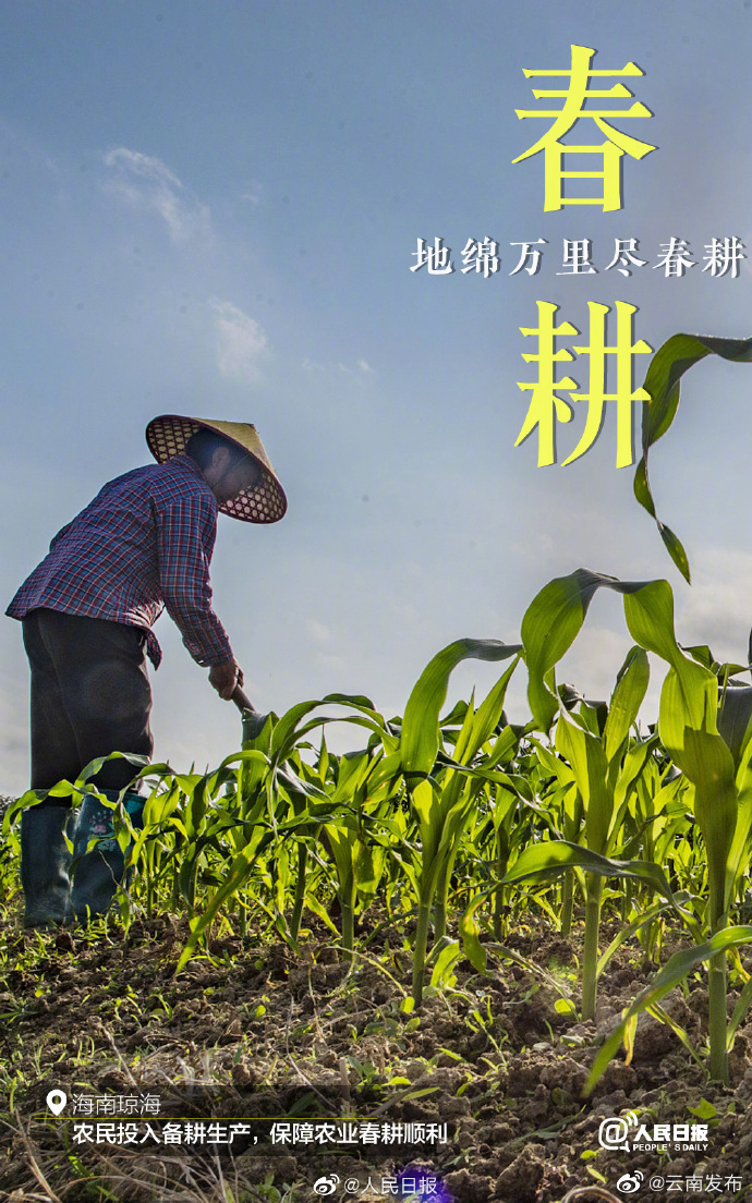 “云南发布”微博