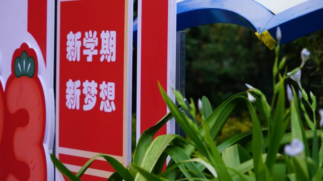 盘龙教育